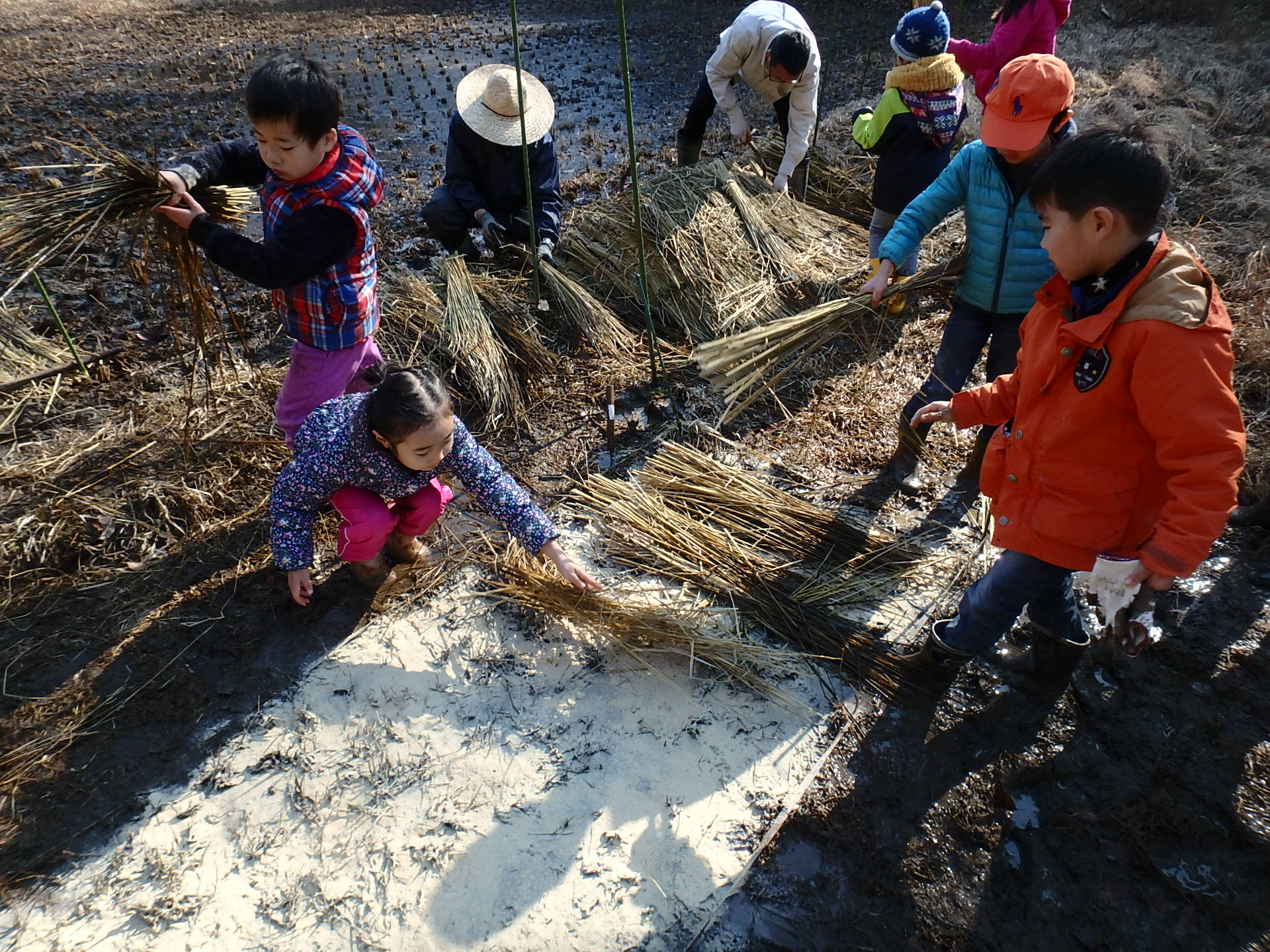 子供たちと5ヶ年計画の里山再生プロジェクトが始動！（DAY1）